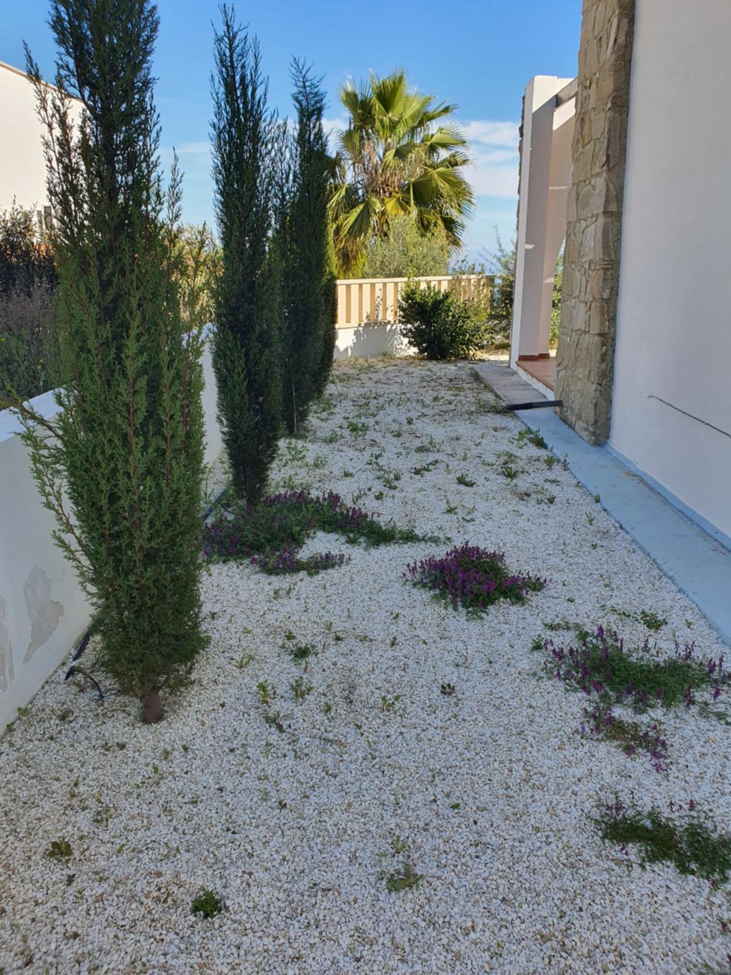 Villa Serapho Paphos Exterior photo